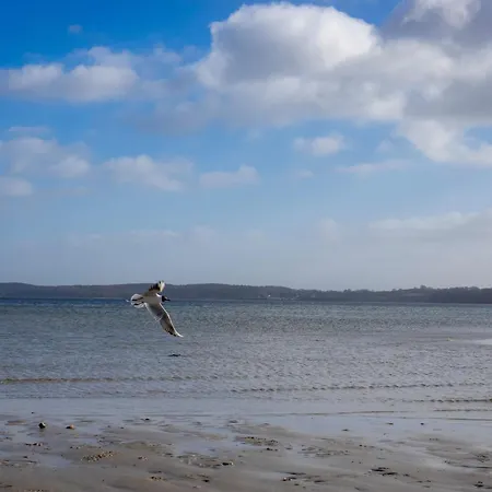 Holnis 13 Dom wakacyjny