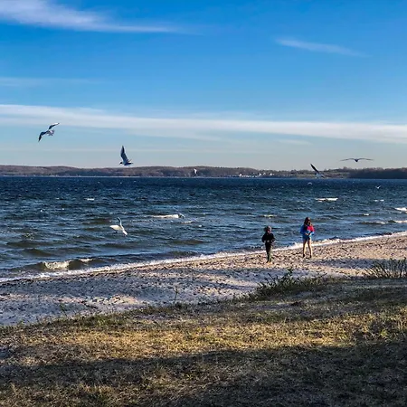 Holnis 13 Glücksburg