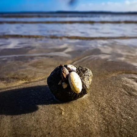 Holnis 13 * Glücksburg