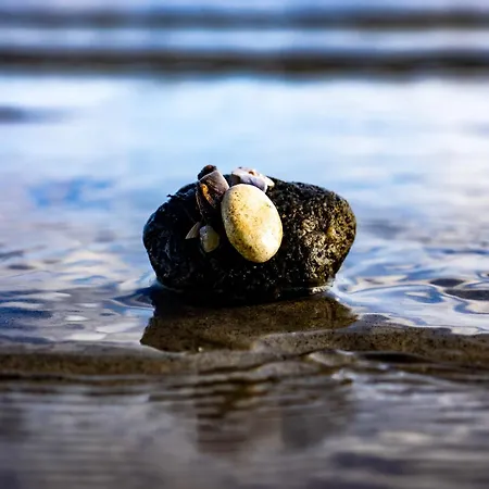 Dom wakacyjny Holnis 13