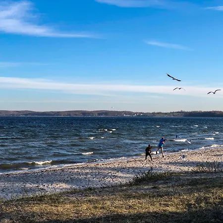 Dom wakacyjny Holnis 13 *